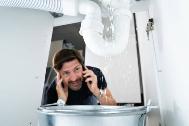 Best Plumbing Services Near Me  in Stone Park, IL