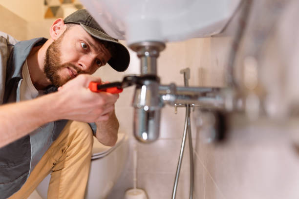 Best Drain Cleaning Services  in Stone Park, IL