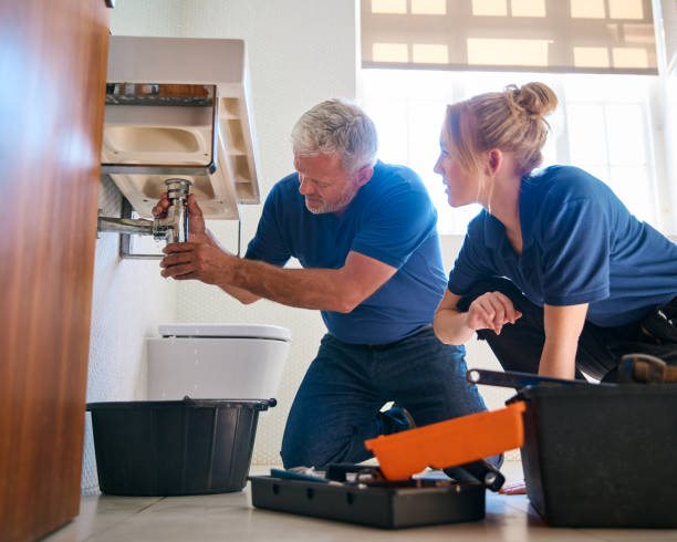 Best Residential Plumbing Services  in Stone Park, IL